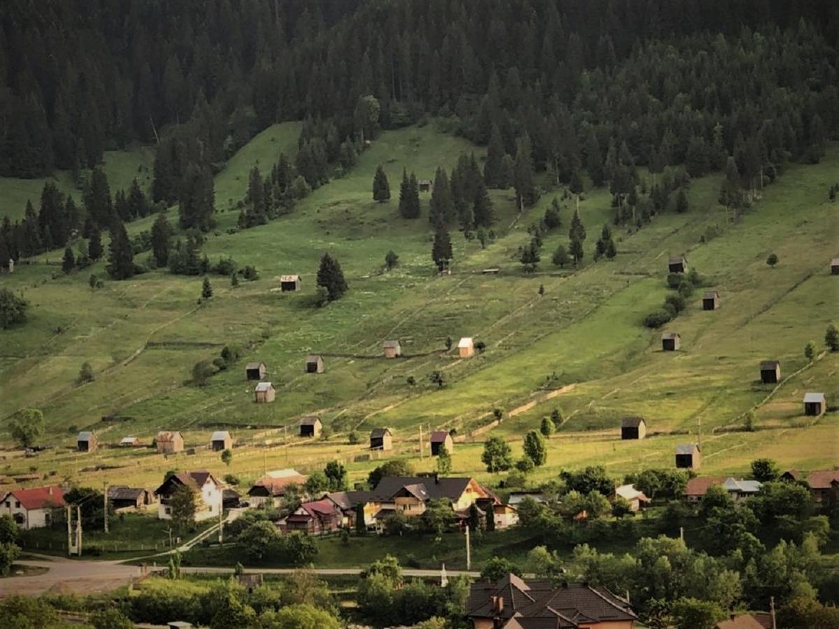 Pensiunea Casa-Stefanel Sadova  Buitenkant foto