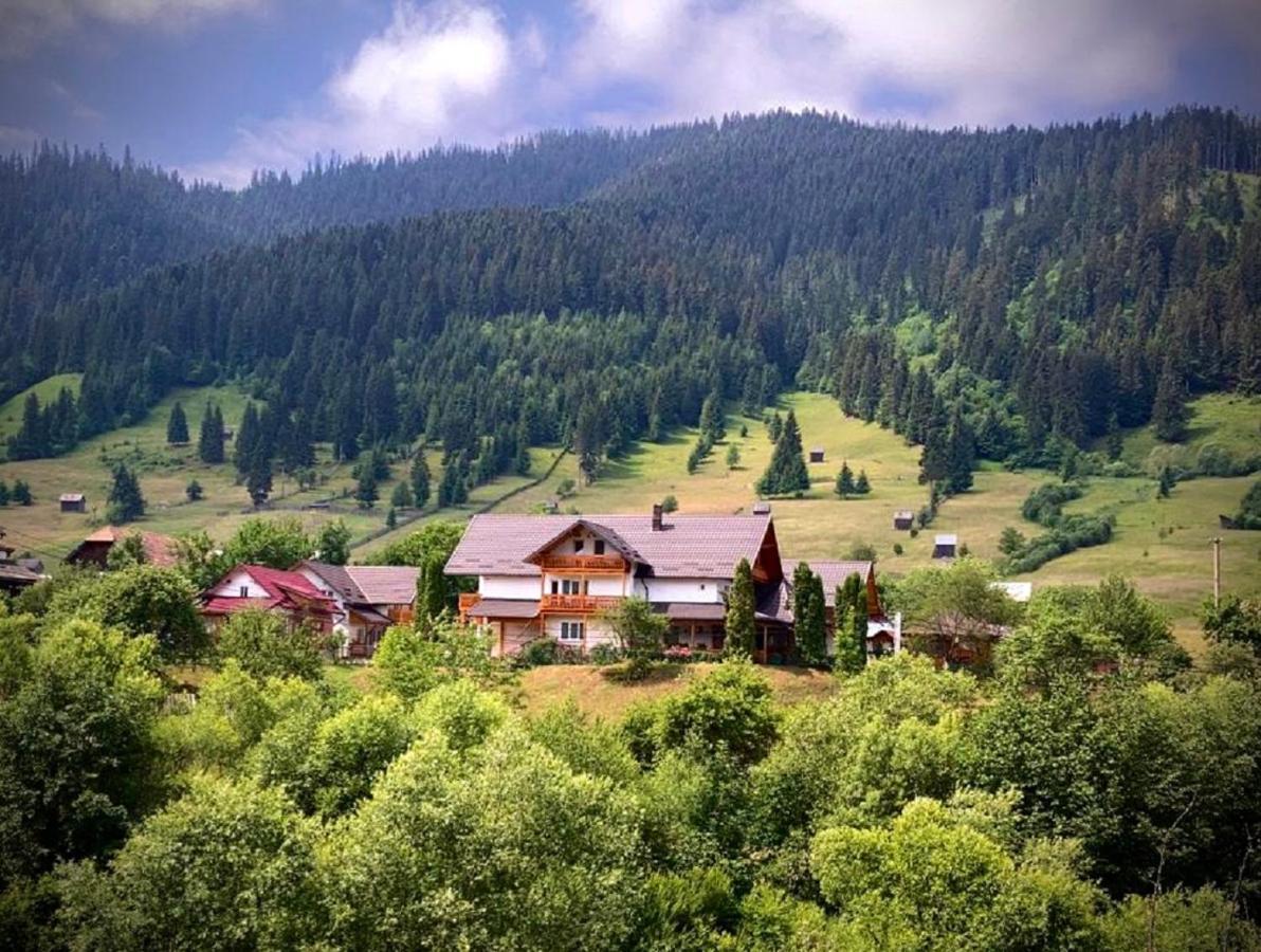 Pensiunea Casa-Stefanel Sadova  Buitenkant foto