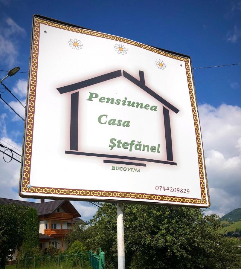 Pensiunea Casa-Stefanel Sadova  Buitenkant foto