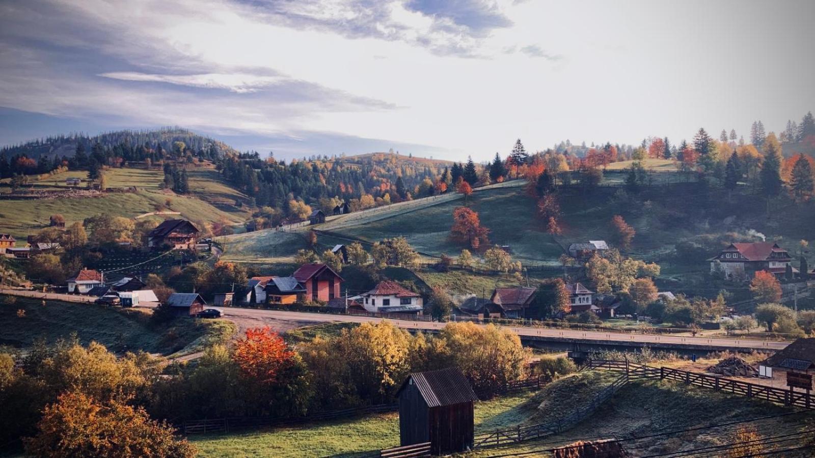 Pensiunea Casa-Stefanel Sadova  Buitenkant foto