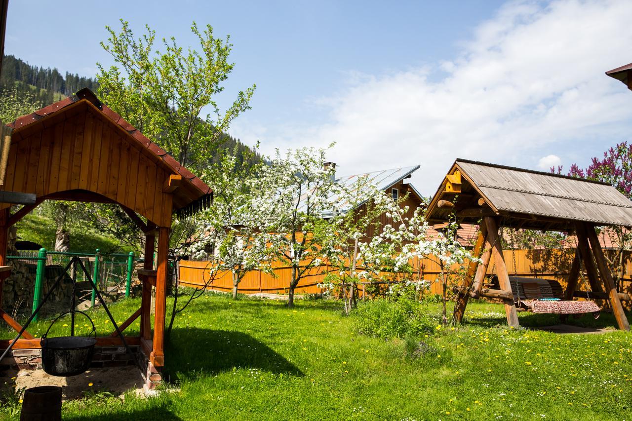 Pensiunea Casa-Stefanel Sadova  Buitenkant foto